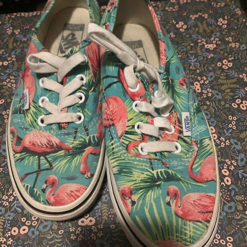 Flamingo vans
